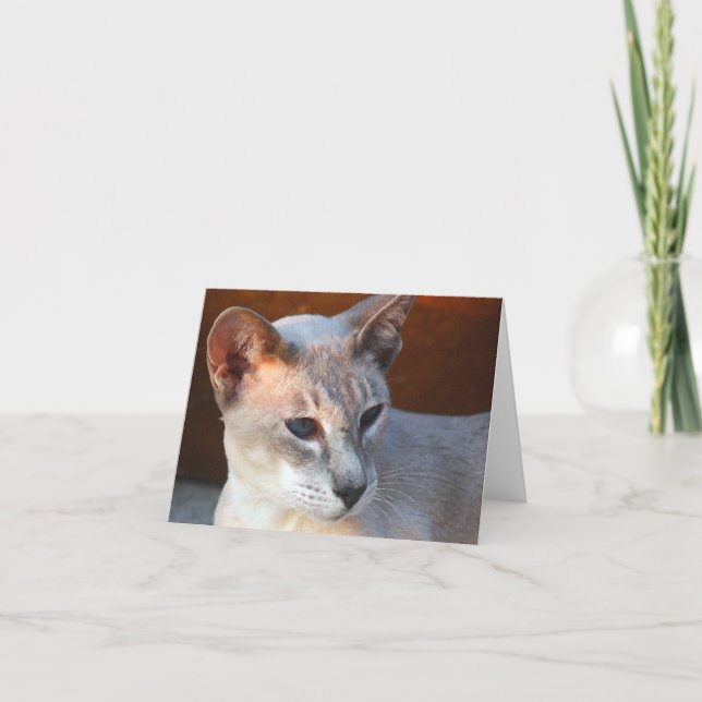 Beautiful Beautiful Blue Eyes Card (Front)