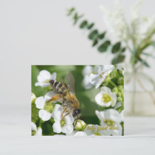 Beautiful bee on white flowers holiday postcard