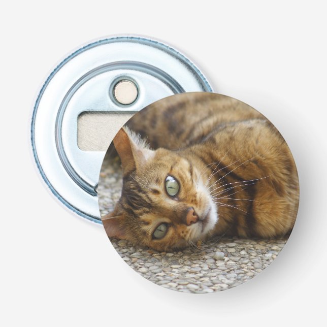 Beautiful Bengal Cat Bottle Opener (Front)