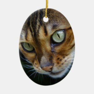 Beautiful Bengal Cat Ceramic Tree Decoration