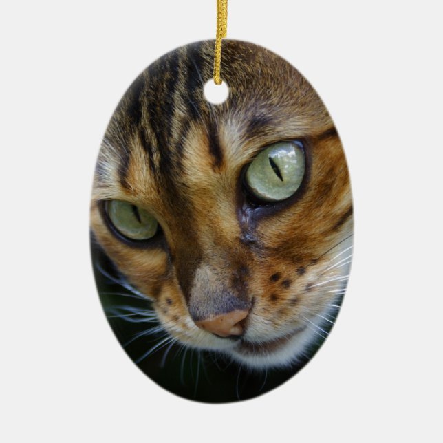 Beautiful Bengal Cat Ceramic Tree Decoration (Front)