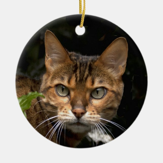 Beautiful Bengal Cat Ceramic Tree Decoration (Front)