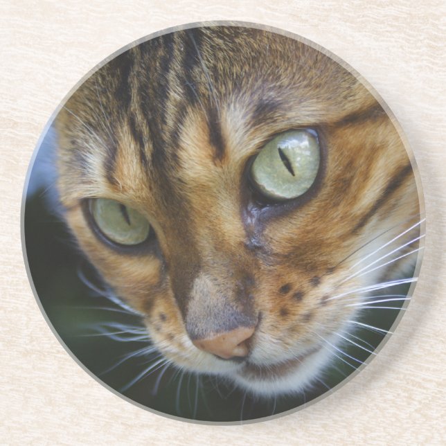 Beautiful Bengal Cat Coaster (Front)
