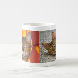 Beautiful Bengal Cat Coffee Mug