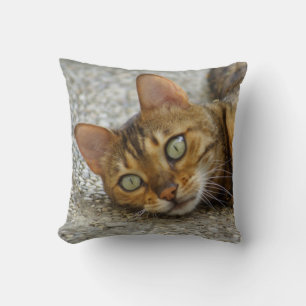 Beautiful Bengal Cat Cushion