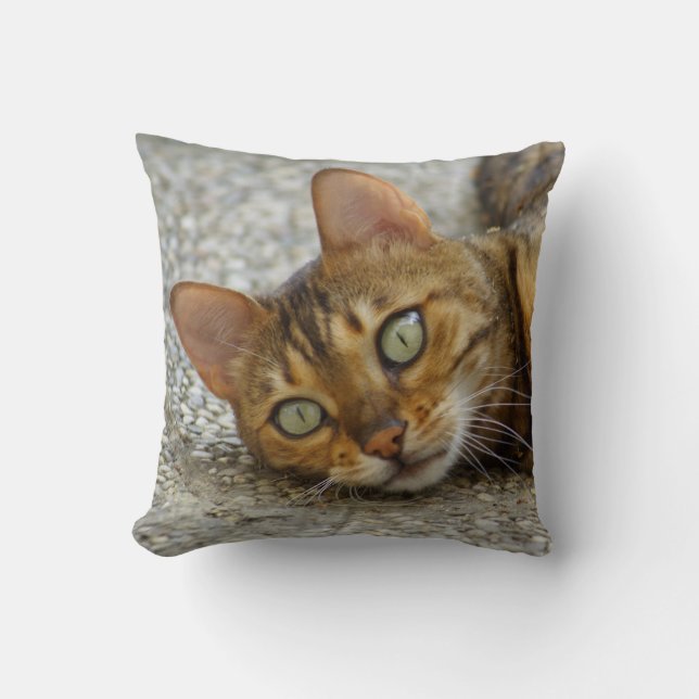 Beautiful Bengal Cat Cushion (Front)