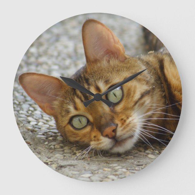 Beautiful Bengal Cat Large Clock (Front)