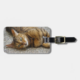 Beautiful Bengal Cat Luggage Tag