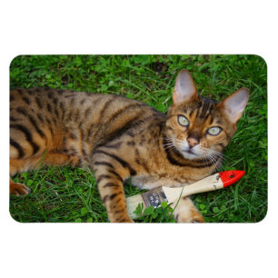 Beautiful Bengal Cat Magnet
