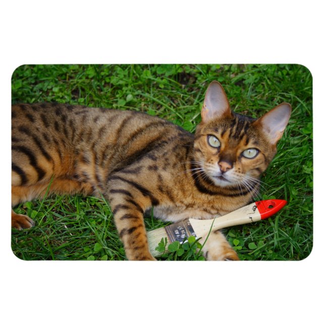Beautiful Bengal Cat Magnet (Horizontal)