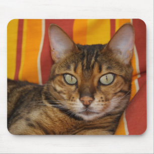 Beautiful Bengal Cat Mouse Mat