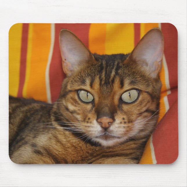Beautiful Bengal Cat Mouse Mat (Front)