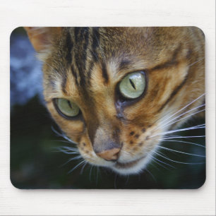 Beautiful Bengal Cat Mouse Mat