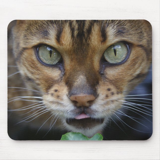 Beautiful Bengal Cat Mouse Mat (Front)