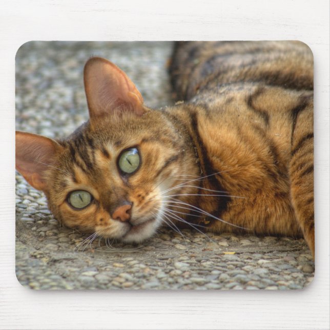 Beautiful Bengal Cat Mouse Mat (Front)