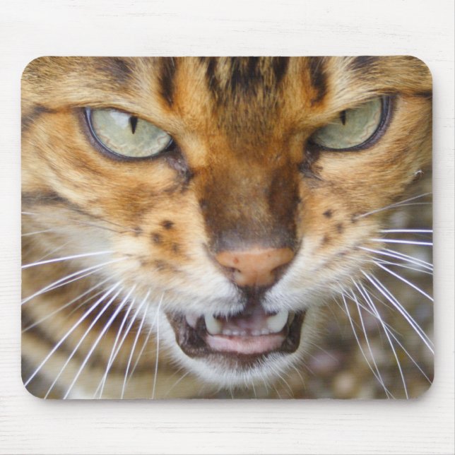 Beautiful Bengal Cat Mouse Mat (Front)