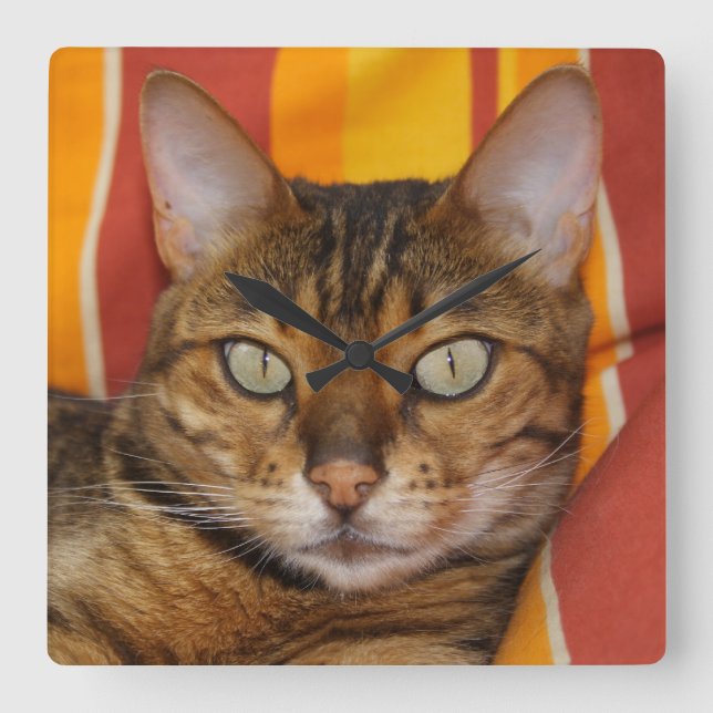Beautiful Bengal Cat Square Wall Clock (Front)