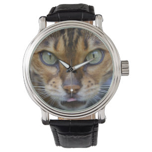 Beautiful Bengal Cat Watch