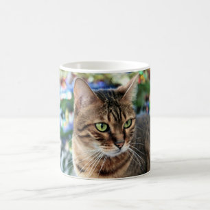 Beautiful Bengal Cat White 325ml Classic White Mug