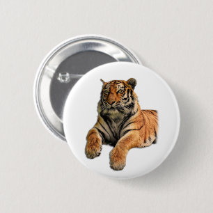 Beautiful Bengal Tiger Face & Paws Photo 6 Cm Round Badge