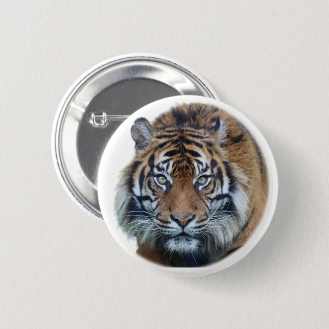 Beautiful Bengal Tiger Face Photo 6 Cm Round Badge (Front & Back)