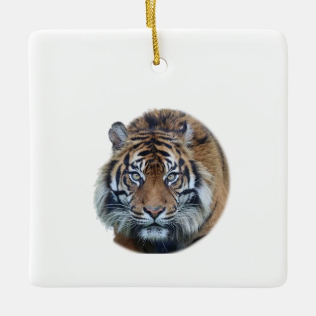 Beautiful Bengal Tiger Face Photo Ceramic Ornament (Front)