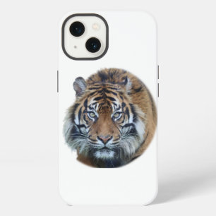 Beautiful Bengal Tiger Face Photo iPhone 13 Case