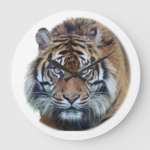 Beautiful Bengal Tiger Face Photo Large Clock
