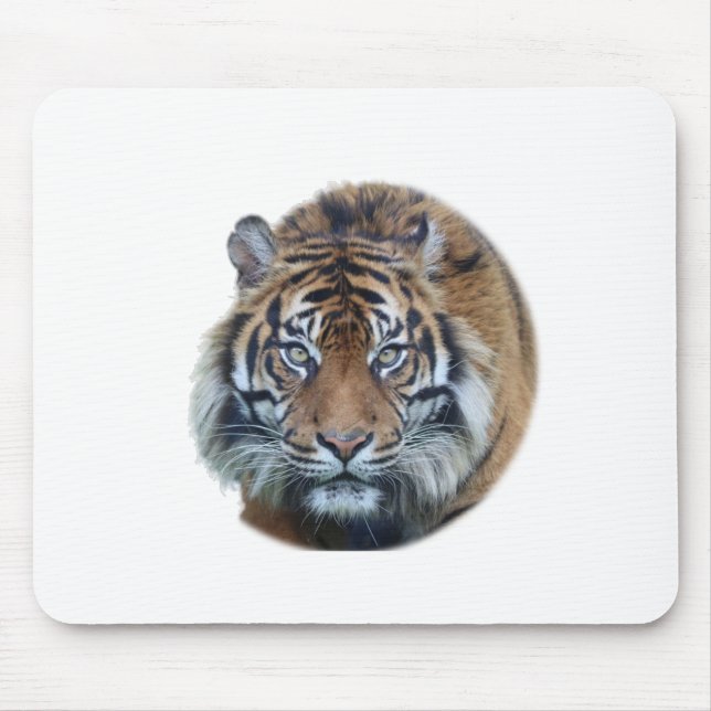 Beautiful Bengal Tiger Face Photo Mouse Mat (Front)