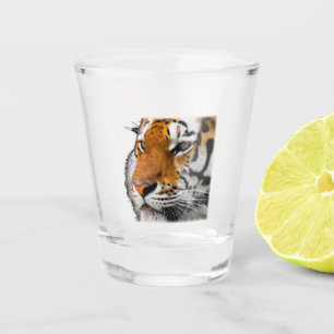 Beautiful Bengal Tiger Face Photo Shot Glass