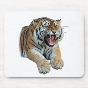 Beautiful Bengal Tiger Face & Teeth Photo Mouse Mat