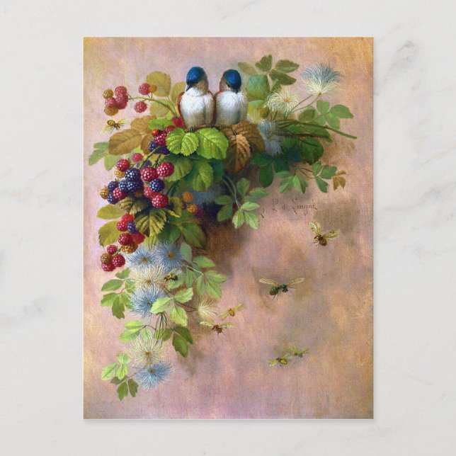 Beautiful Berry Vines and Blue Birds  Postcard (Front)