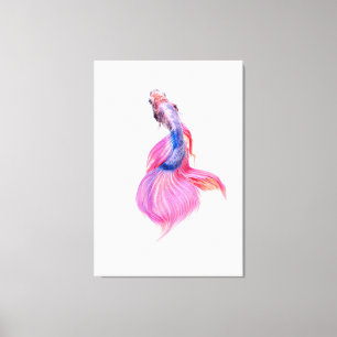 Beautiful Betta Fish Canvas Print