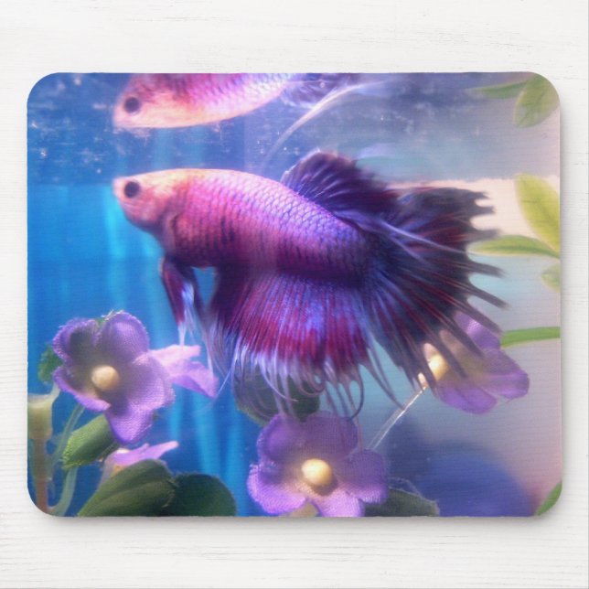 Beautiful Betta Mouse Mat (Front)