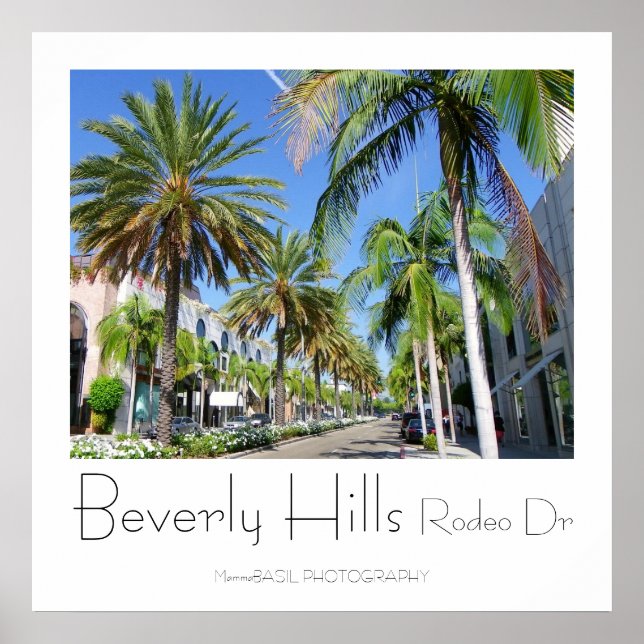 Beautiful Beverly Hills/Rodeo Dr Poster! Poster (Front)
