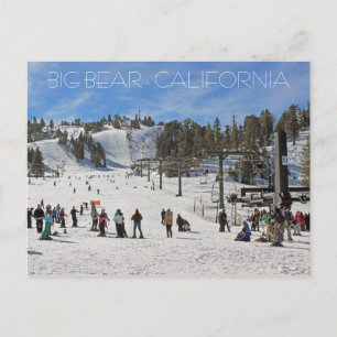Beautiful Big Bear Postcard! Postcard