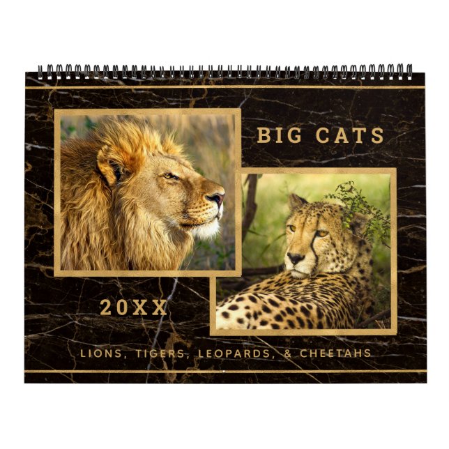 Beautiful Big Cats Photograph Calendar (Cover)