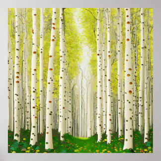 Beautiful Birch Tree Forest Landscape  Poster