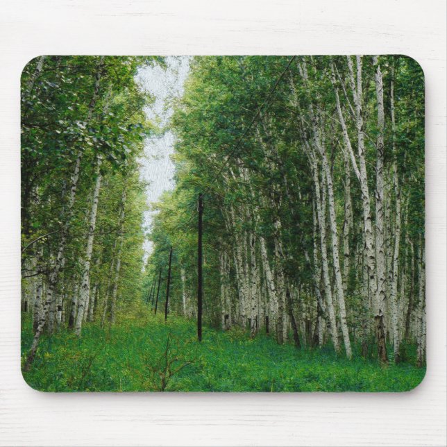 Beautiful Birch Tree Forest Mouse Mat (Front)