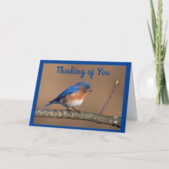 BEAUTIFUL BIRD ASKS  **HOW ARE YOU?*** CARD (Front)