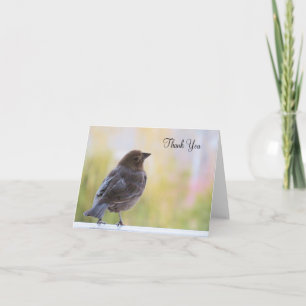 Beautiful Bird - Blank Thank You Card