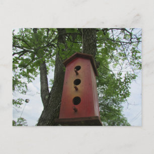 beautiful bird house hanging from the tree postcard