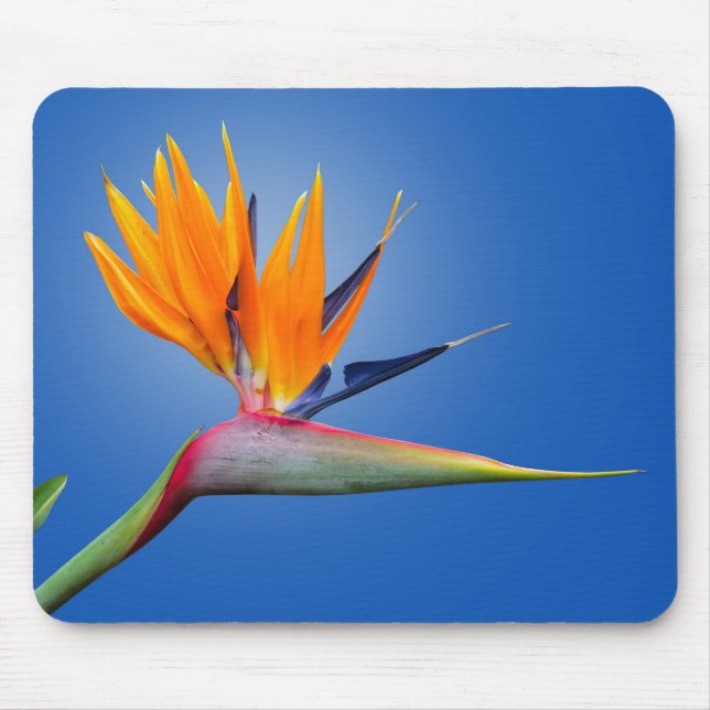 Beautiful Bird of Paradise Strelitzia Flower Mouse Mat (Front)