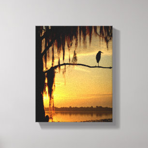Beautiful Bird Perched on Shadowed Tree Canvas Print