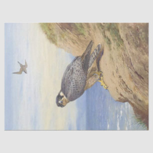 Beautiful Bird Peregrine Falcon Decoupage Tissue Paper