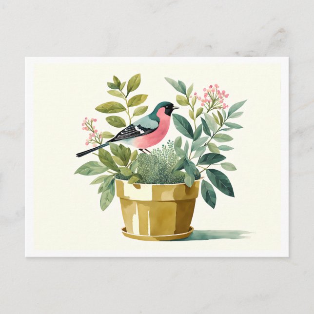 Beautiful Bird Sitting in a Flower Pot, Watercolor Postcard (Front)