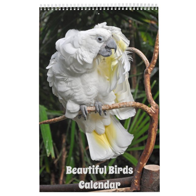 Beautiful Birds Calendar (Cover)
