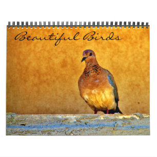 Beautiful Birds Calendar