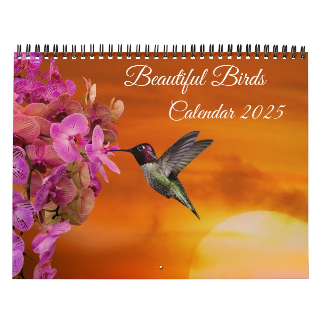 Beautiful Birds Calendar (Cover)