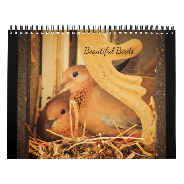 Beautiful Birds Calendar (Cover)